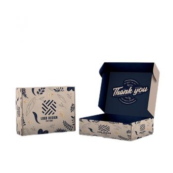 BDL Oem Manufacturer E-commerce boxes with good quality custom logo airplane packaging