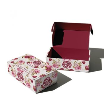 BDL Oem Manufacturer E-commerce boxes with good quality custom logo airplane packaging