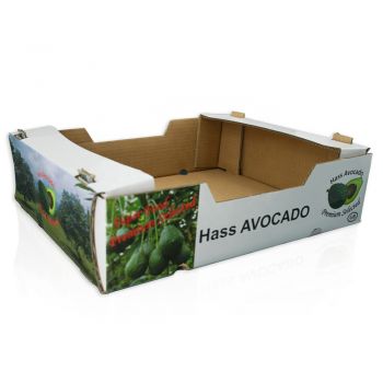 BDL Wholesale Corrugated Cardboard Fruit Vegetable Packaging Carton 