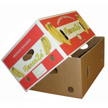 BDL Produce Packaging Solutions, Fruit Packaging & Vegetable Packaging