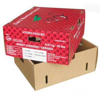 BDL Produce Packaging Solutions, Fruit Packaging & Vegetable Packaging