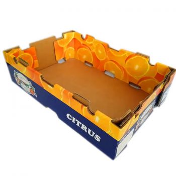 BDL Wholesale Vegetable And Fresh Fruit Packaging Boxes Corrugated Carton box
