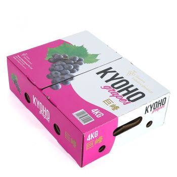 BDL Hight quality Corrugated Grape Fruit Packaging Boxes