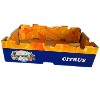 BDL Wholesale Vegetable And Fresh Fruit Packaging Boxes Corrugated Carton box