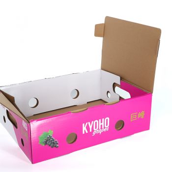 BDL Hight quality Corrugated Grape Fruit Packaging Boxes