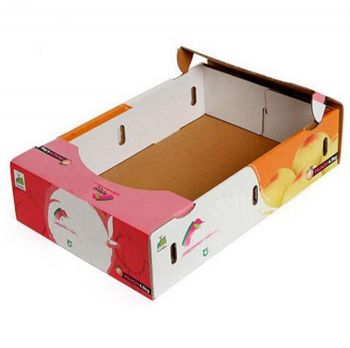 BDL Custom Corrugated Storage Box for Fruits Vegetables Recyclable Corrugated Paper Packaging Carton Gift Shipping Boxes