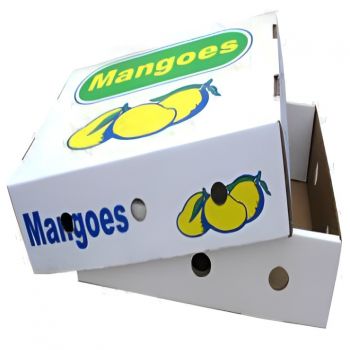BDL Custom Printed Corrugated Fruit Packaging Box Peach Mango Apple Produce Shipping Carton with Handle