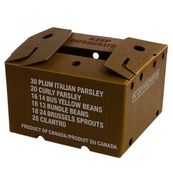 BDL Wax Vegetable Box Recycled Packaged Export Shipping