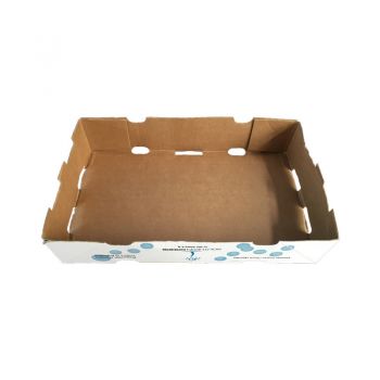 BDL Custom  Corrugated Cardboard Paper Fruit and Vegetable Cherry Packaging Stands Box 
