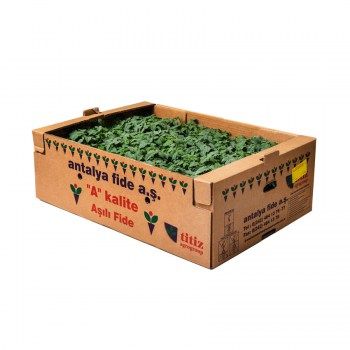 BDL Wholesale Waterproof White  Cardboard Box Wax Coated Corrugated Vegetable Boxes