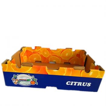 BDL Custom Printed  Vegetable Cherry  Fruit Corrugated Board Carton Packaging for Shipping