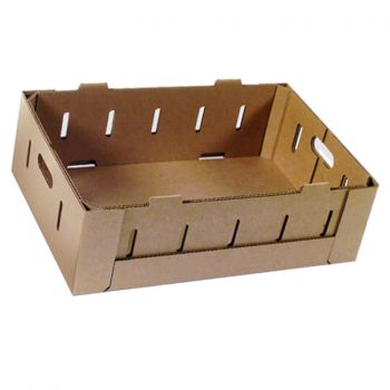 BDL Wholesale Waterproof White  Cardboard Box Wax Coated Corrugated Vegetable Boxes
