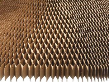 BDL Durable Kraft Honeycomb Paper Core Custom Size Direct Manufacturer Supply
