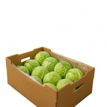 BDL Manufacturer Print Paraffin Wax Coated Carton High Quantity Accepted Waterproof Box