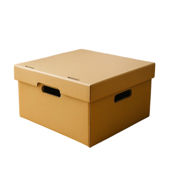 BDL Custom Good Quality Waxed Carton  Chicken Food Fruit  Box Premium Quality Carton