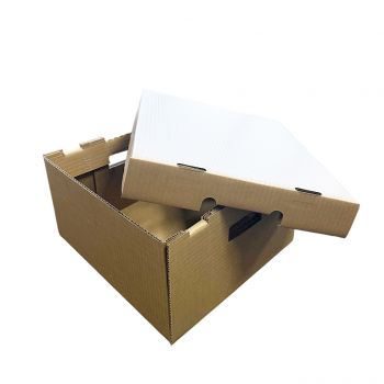 BDL Manufacture Good Quality Waxed Carton  Chicken Food Fruit  Box Premium Quality Carton