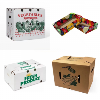 BDL Wax Coated Corrugated  Strong Moving Corrugated Shipping Boxes  for Vegetable Frozen Meat
