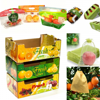 BDL Manufacture  Good Quality Waxed Carton Food Fruit  Box Premium Quality Carton
