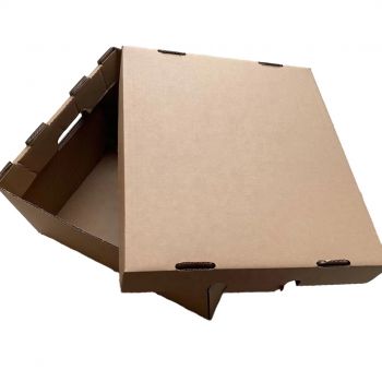 BDL Custom  Good Quality Waxed Carton Food Fruit  Box Premium Quality Carton
