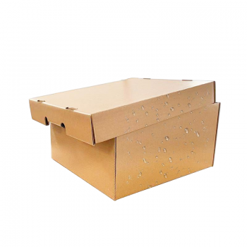 BDL Wax Cardboard Carton Waterproof Cartons Waxed Corrugated Box for Shipping Frozen 