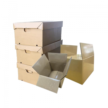 BDL Wax Corrugated Paper Boxes for ShippingVegetable Farm Harvest Leafy Greens Root 