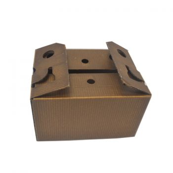 BDL High Quality  Coated Wax Corrugated Cardboard Recyclable Waterproof  Box for Frozen
