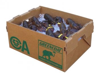 BDL Wholesale Freezer Seafood Waterproof Cardboard Wax Coated Packaging Vegetable Boxes