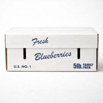 BDL Waterproof Wax Coated Corrugated Carton Box for Cold Chain Transport of Chilled Meat Fruits Vegetables and
