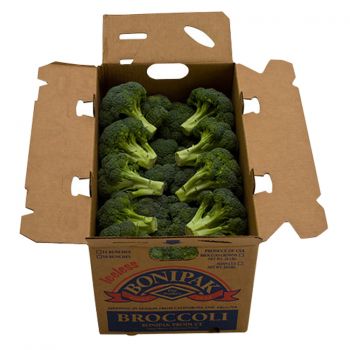 BDL Waterproof Wax Coated Corrugated Carton Box for Cold Chain Transport of Chilled Meat Fruits Vegetables