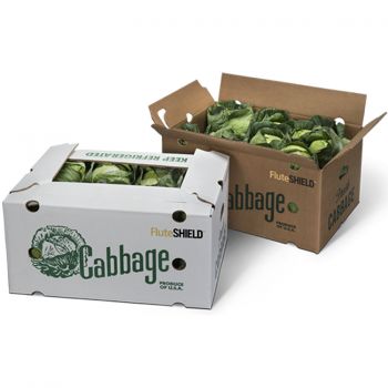 BDL Waterproof Wax Coated Corrugated Carton Box for Cold Chain Transport of Chilled Meat Fruits Vegetables