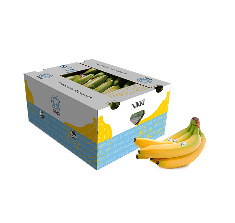 BDL High Quality And Recyclable 5kg, 10kg, 20kg, 25kg Banana Cardboard Boxes 