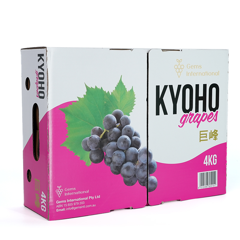 BDL Hight quality Corrugated Grape Fruit Packaging Boxes - Xiamen ...