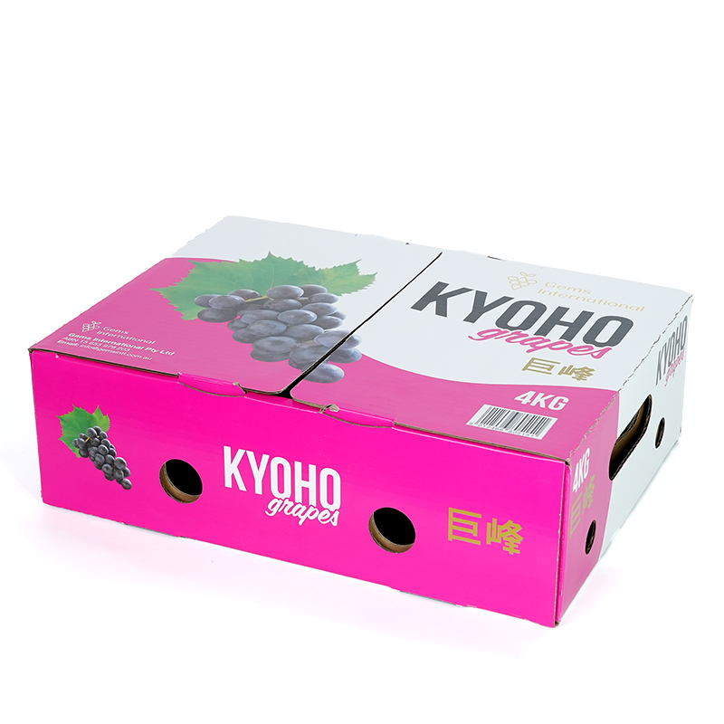 BDL Hight quality Corrugated Grape Fruit Packaging Boxes - Xiamen ...