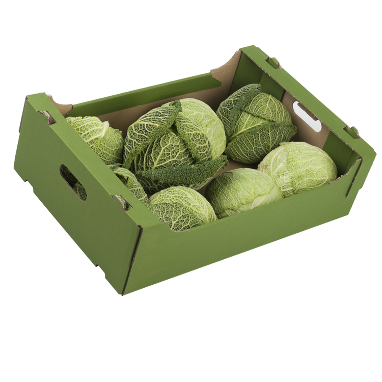 BDL Custom Printed Cherry Vegetable Fruit Corrugated Board Carton Packaging Box 