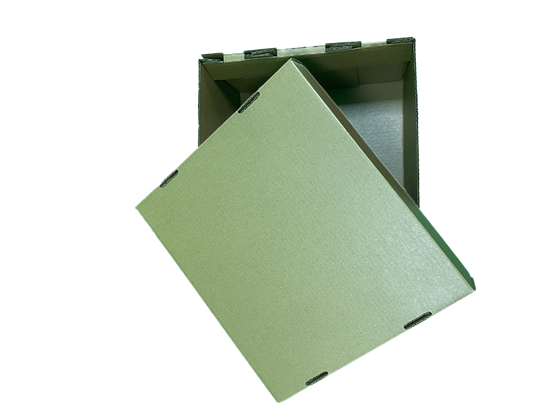 BDL Custom  Good Quality Waxed Carton Food Fruit  Box Premium Quality Carton
