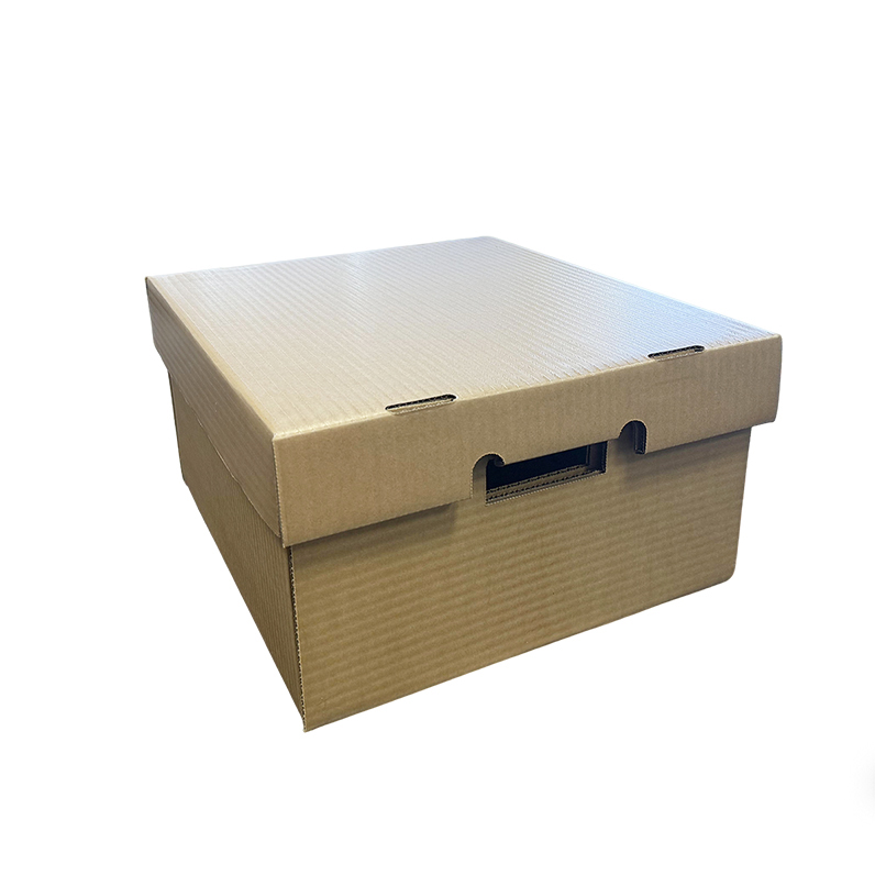 BDL Manufacture Good Quality Waxed Carton  Chicken Food Fruit  Box Premium Quality Carton