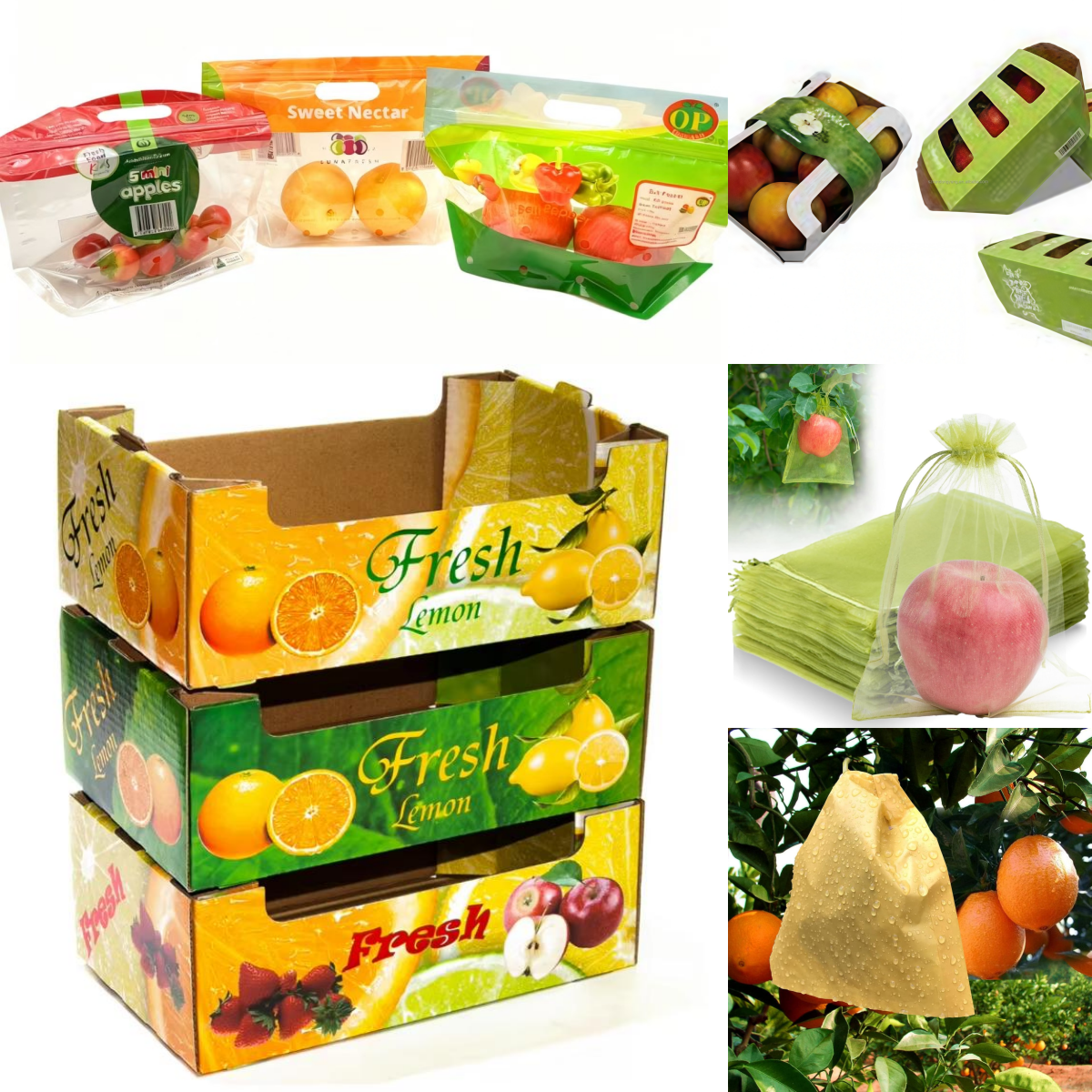 BDL Manufacture  Good Quality Waxed Carton Food Fruit  Box Premium Quality Carton