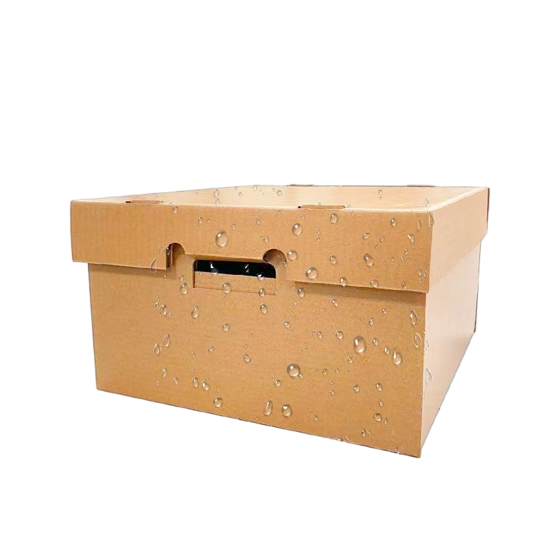 BDL Wax Cardboard Carton Waterproof Cartons Waxed Corrugated Box for Shipping Frozen 