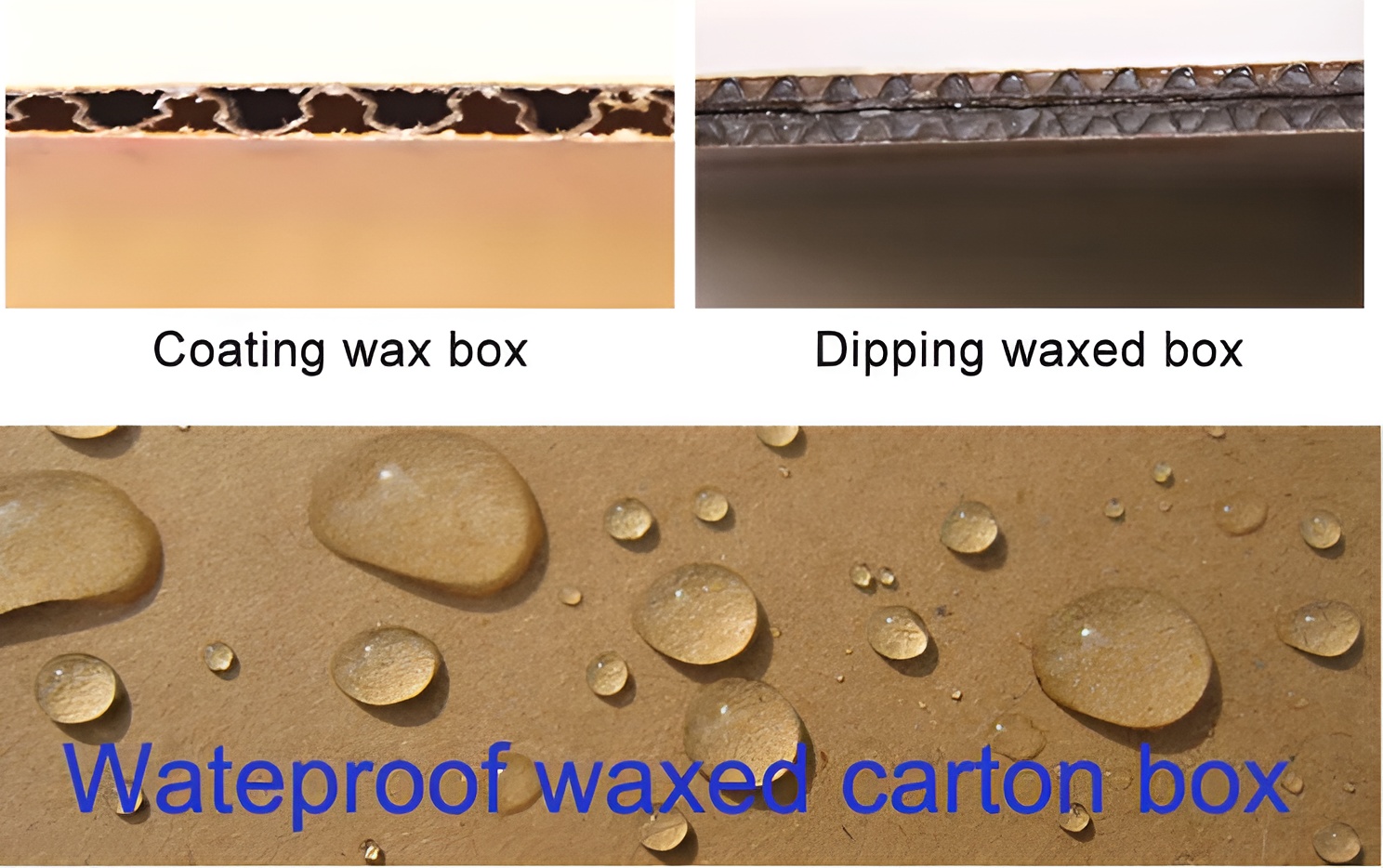 Beyond the Surface: Why Wax-Dipped Boxes Are the Gold Standard for Global Cold Chain Logistics