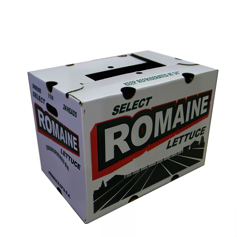 BDL Wholesale High-Quality Waxed Corrugated Cardboard Paper Tray Carton  Packaging Fruits  